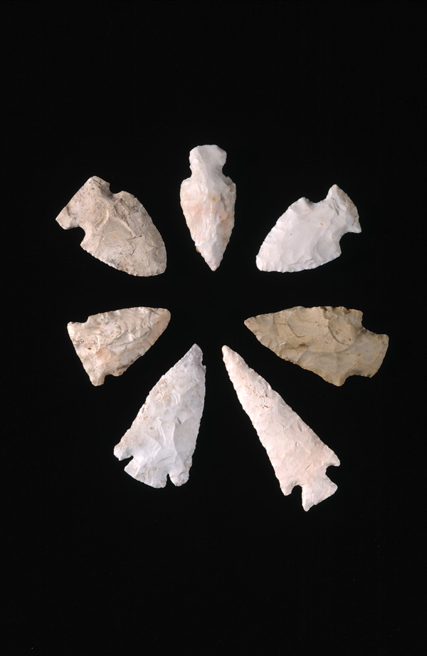 A selection from the August Mier collection of more than 6,500 artifacts
