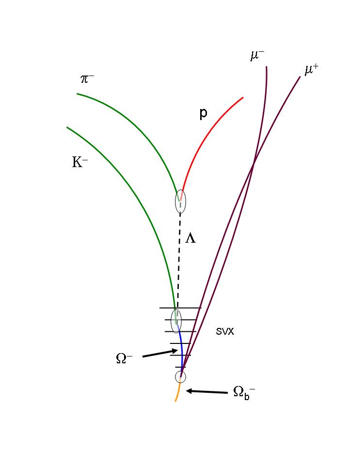Omega_b baryon discovery Once produced, the Omega-sub-b (Ωb) particle travels about a third of a millimeter before it disintegrates into two intermediate particles called J/Psi (J/ψ) and Omega-minus (Ω-). The J/Psi then promptly decays into a pair of muons. The Omega-minus baryon, on the other hand, can travel several centimeters and occasionally be measured in the CDF silicon vertex detector. The particle decays into an unstable particle called a Lambda (Λ) baryon along with a long-lived kaon particle (K). The Lambda baryon, which has no electric charge, also can travel several centimeters prior to decaying into a proton (p) and a pion (π). Credit: CDF collaboration.
