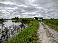 Main Ring, outdoor, nature, clouds, sky, Main Ring Pond