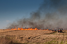 nature, prairie, prairie burn, fire, ecology