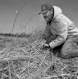 Ecologist Rod Walton