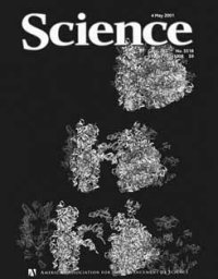 RNA