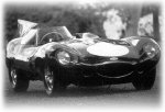 D-Type Jaguar