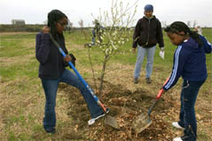 Daena Wallace, Kariya Spillers, Roshanda Nowlin