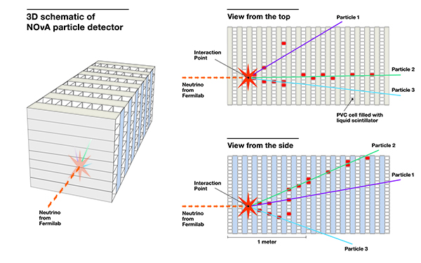 Illustration courtesy of Fermilab