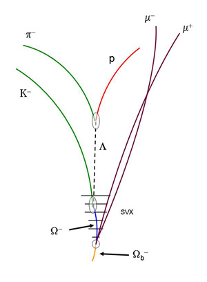 The decay pattern of the Omega-sub-b particle, which contains three quarks, two strange quarks and a bottom quark (s-s-b)